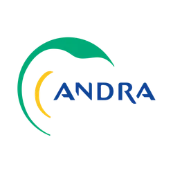 andra